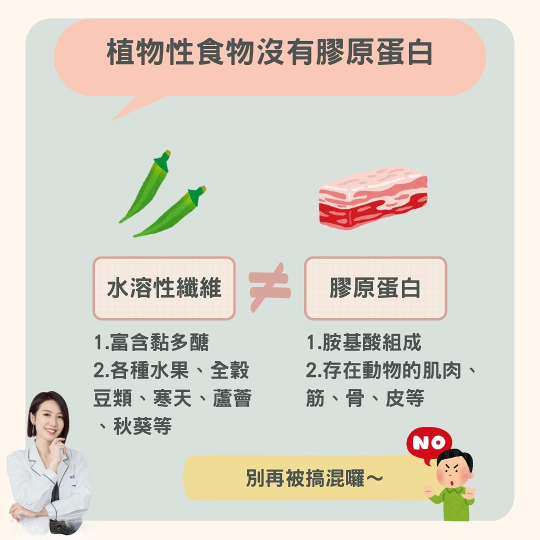 掌握膳食纤维两大类！吃出健康肠胃与理想体态