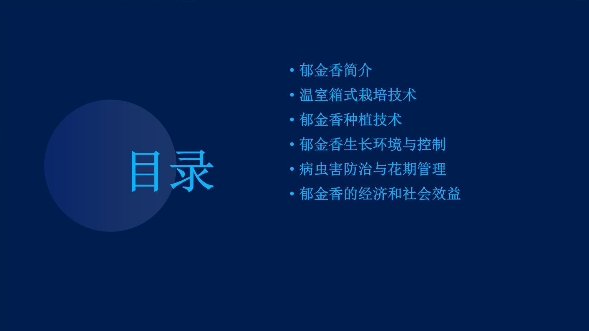 郁金香温室箱式栽培技术