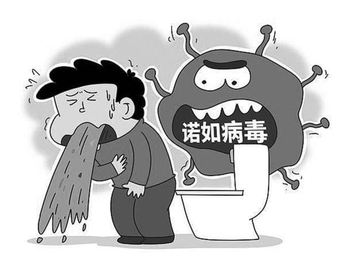 警惕时下高发的诺如病毒
