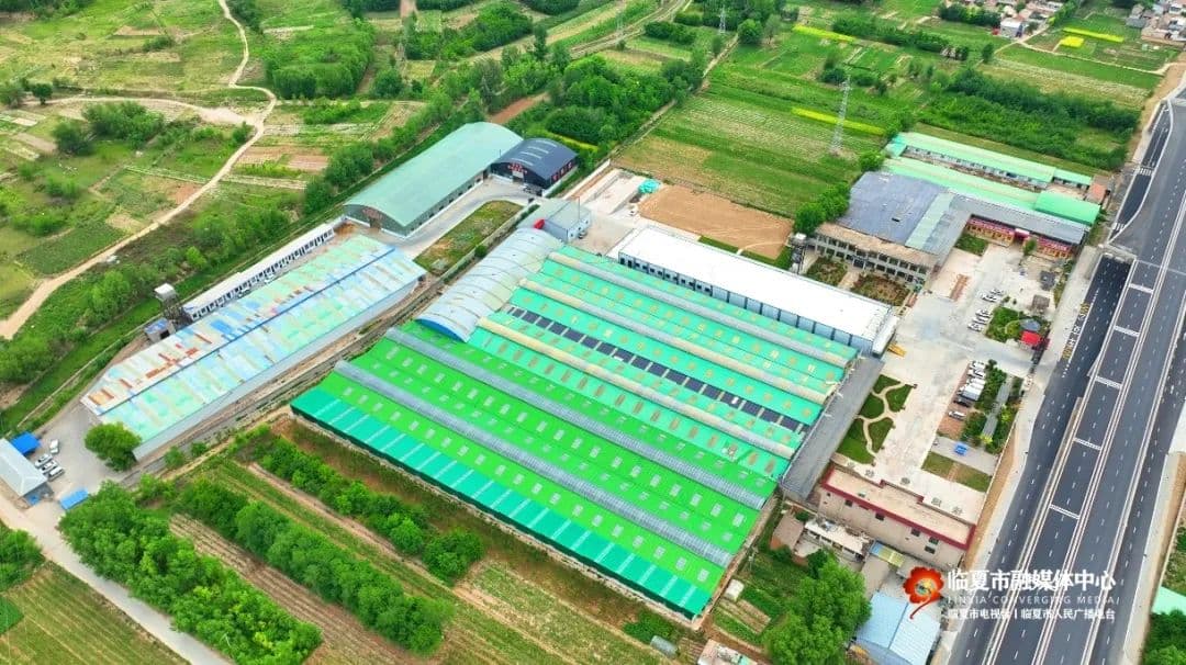 变“废”为“肥”！临夏市养殖粪污生产有机肥项目——推进绿色种养 助力乡村振兴