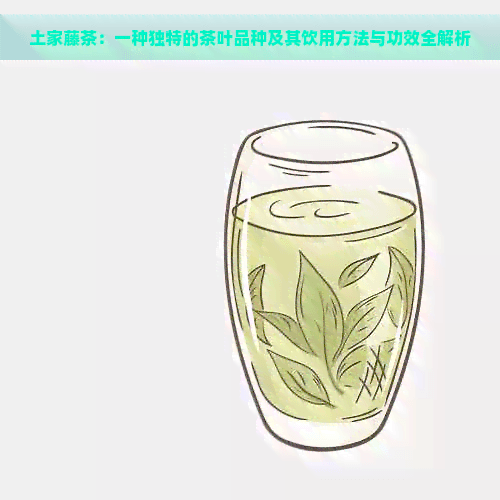 土家藤茶：一种独特的茶叶品种及其饮用方法与功效全解析