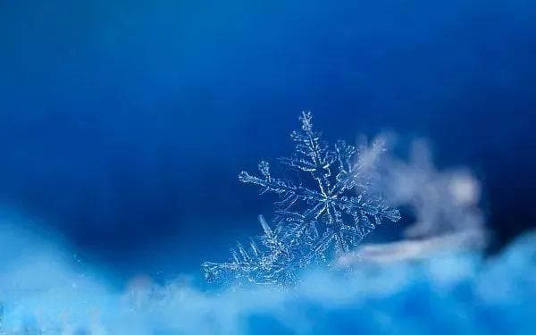 猛降！红安最低-5℃！这些防冻措施请收好
