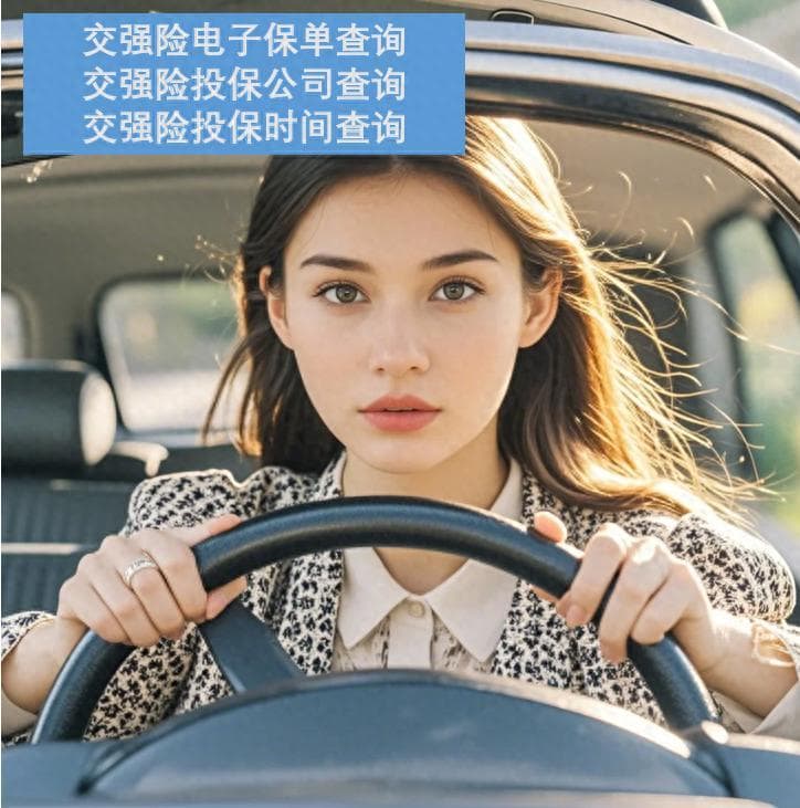 交强险是什么？不买会怎样？一文读懂交强险的重要性与查询方法