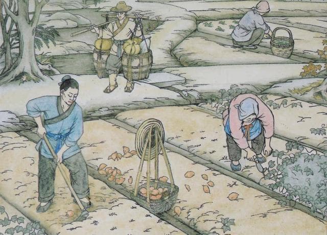 “民贵君轻”的思想死结