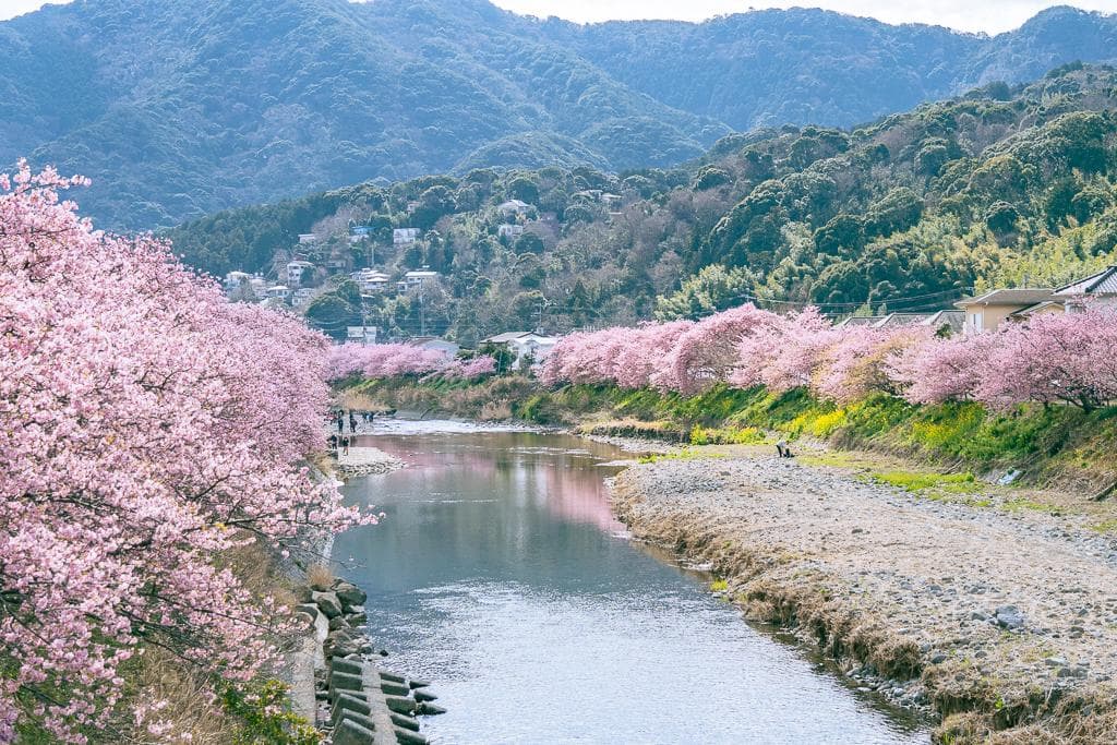 【静冈】温泉、景点、美食全打包！伊豆观光必访的人气推荐10选
