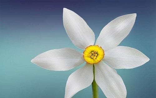 考研数学一零基础怎么学