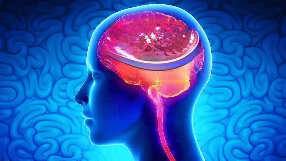 增强记忆力，职场人士必备！9大记忆技巧让你秒变“记忆大师”