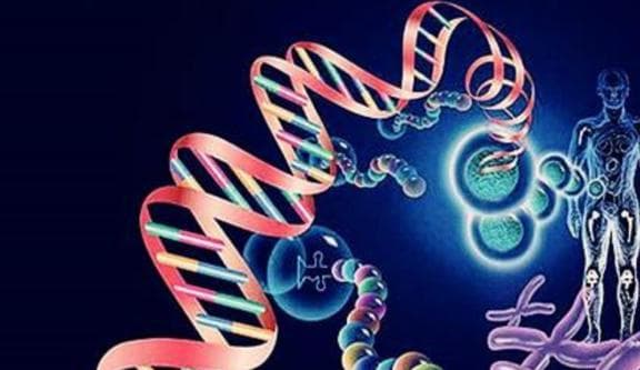挥动双臂能否进化出翅膀？从进化论到基因选择的科学解读