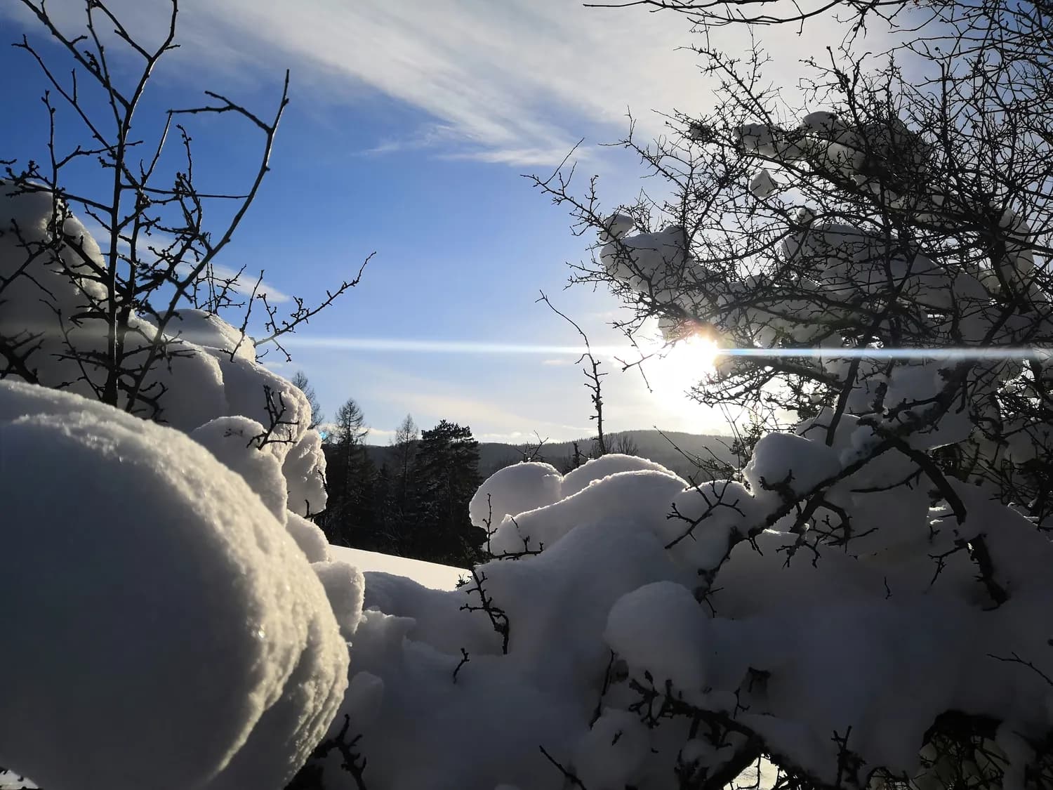 雪乡摄影攻略：拍出最美雪花瞬间