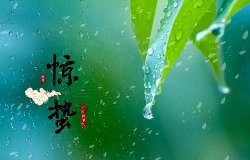 2024惊蛰祝福语 惊蛰的含义和谚语