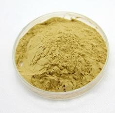 萝卜硫素的生物活性及其作用机理研究进展