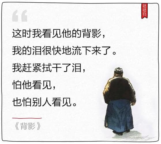 《背影》为什么让人感动？