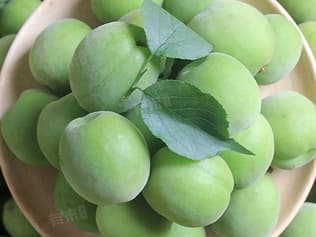 酸梅的功效和作用，治疗什么病