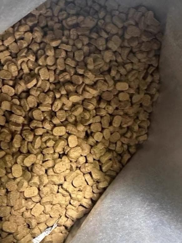 在选择全价猫粮时，需要注意的地方