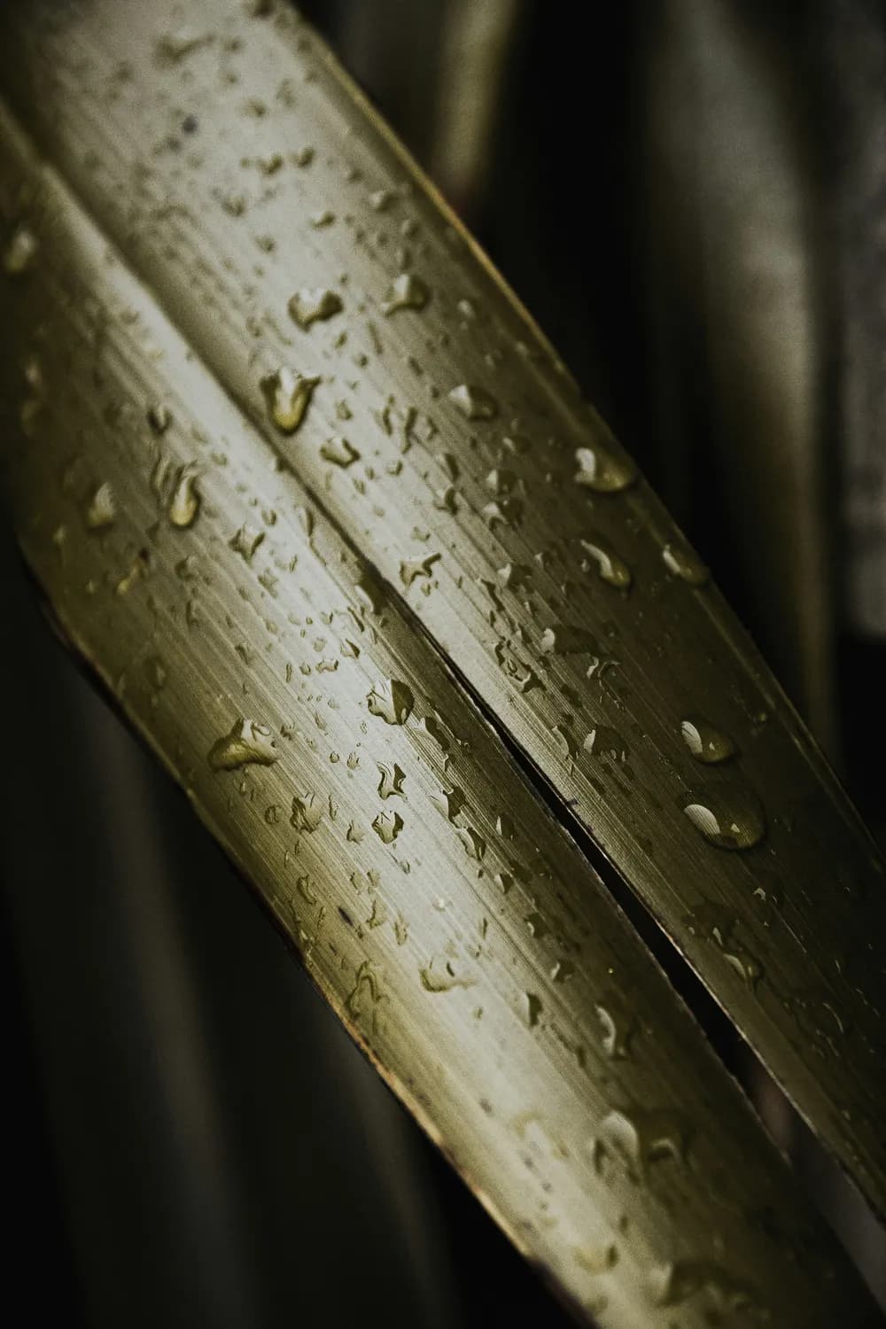 芦雨熙：一个水旺之名的美好寓意与深意