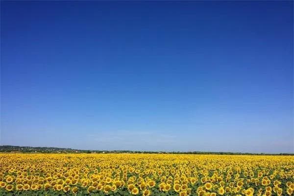 职业年金怎么计算和发放？一文为你详细解析