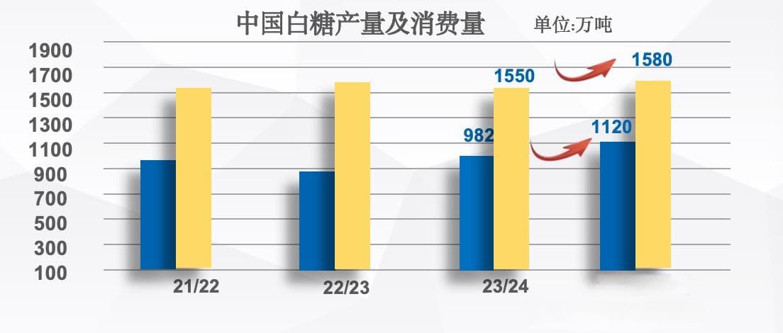 2024年白糖市场走势回顾与2025年展望