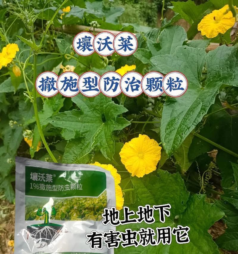 红薯病虫害防治全攻略：14个关键措施确保高产优质