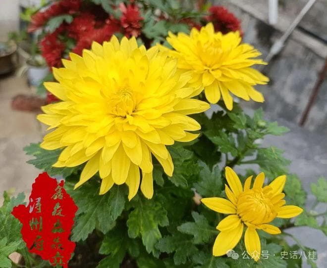 广西人文：清明近话葬俗——传统老规矩，新坟三年不立碑有何讲究