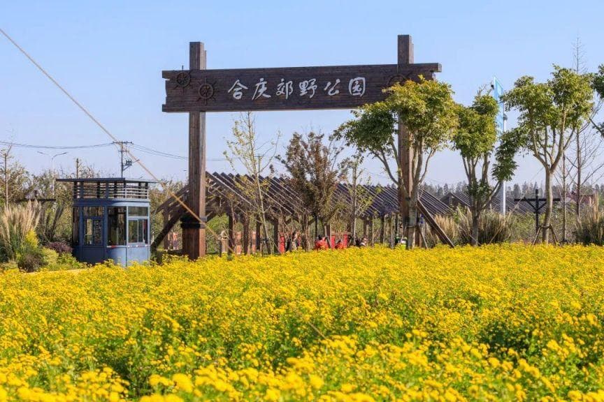 上海市浦东新区 “村上行”慢行之旅