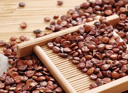 酸枣仁提取物的药理作用