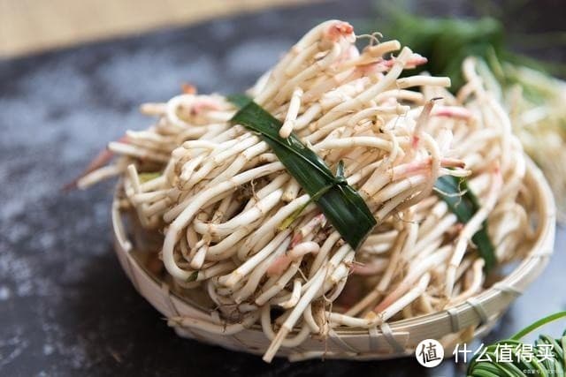 鱼腥草为什么被说成“害人草”？常吃鱼腥草到底会咋样？