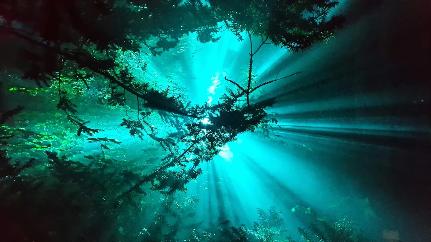 《阿凡达：水之道》背后的虚拟现实黑科技揭秘