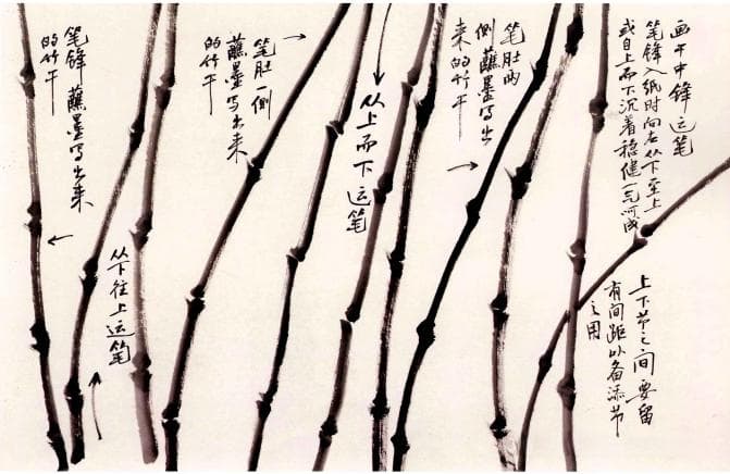 常见的画竹方法，一文讲清楚