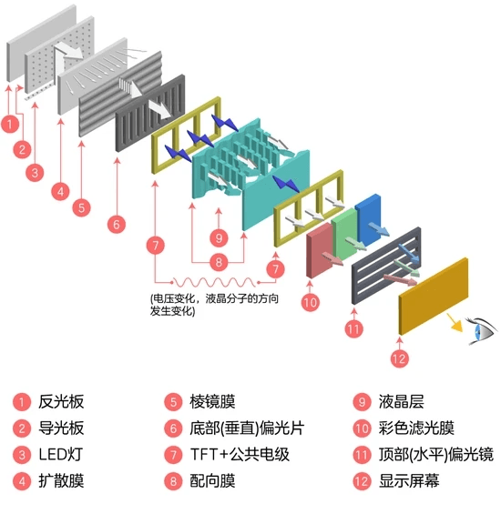 TN和IPS液晶屏有什么区别？
