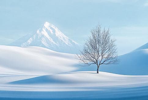 对于中国人而言，雪似乎是冬天的一种限定犒赏