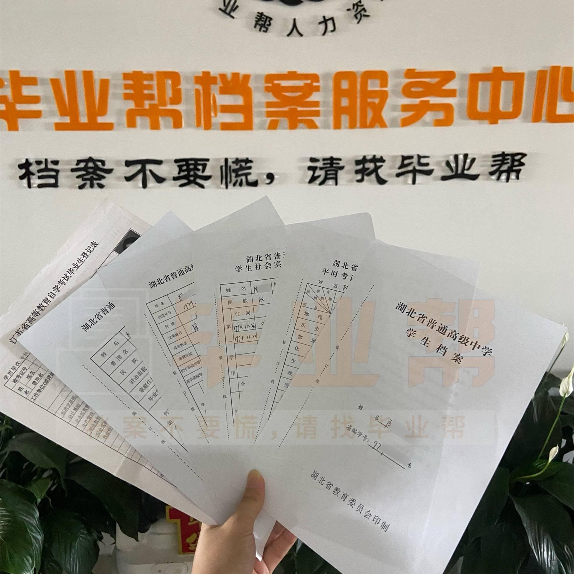 文件管理这样做最高效：工具选择与流程优化指南