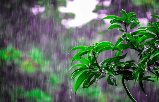 揭秘“清明时节雨纷纷”：科学解读清明节为何多雨