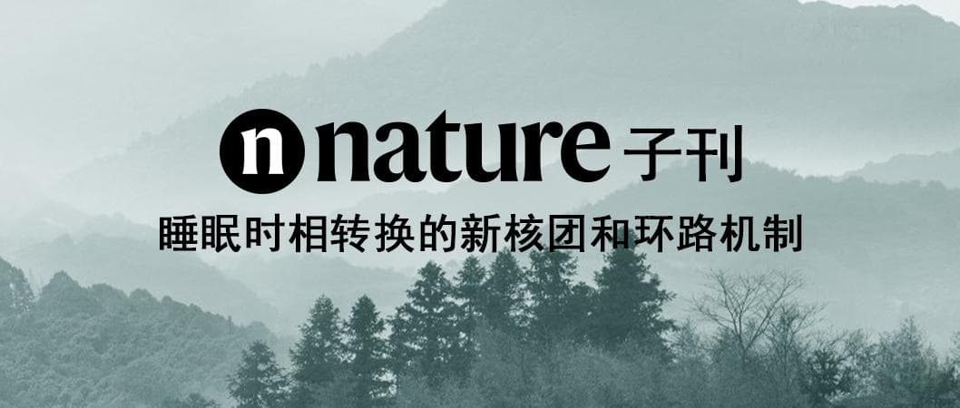 长期运动改善阿尔茨海默症小鼠血脑屏障功能的新机制