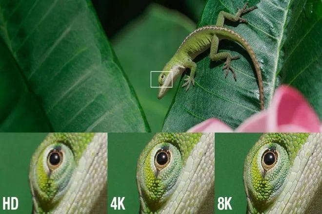 LED 显示屏选择：高清、4K 和 8K 的比较