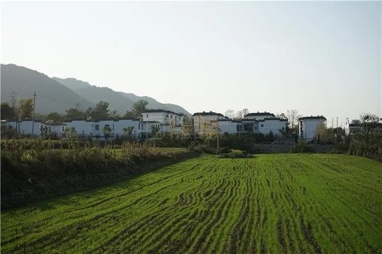 上春山！西安秦岭“野游”，一条峪口多种玩法，徒步自驾都行