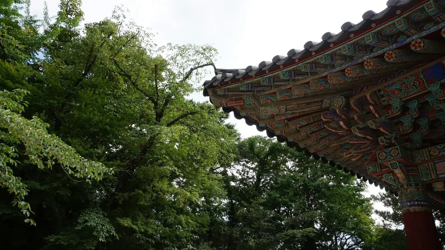 宣化柏林寺保护修缮工程启动，130万元预算守护千年古刹