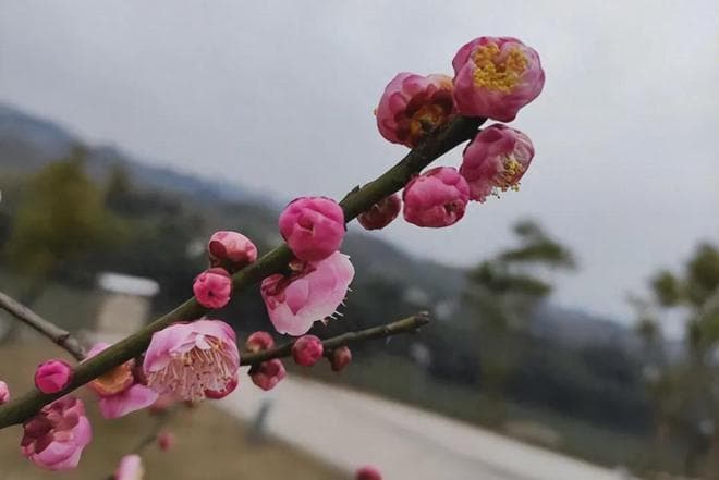 人到晚年，只有一个建议：不要跟已经成家的子女住一起