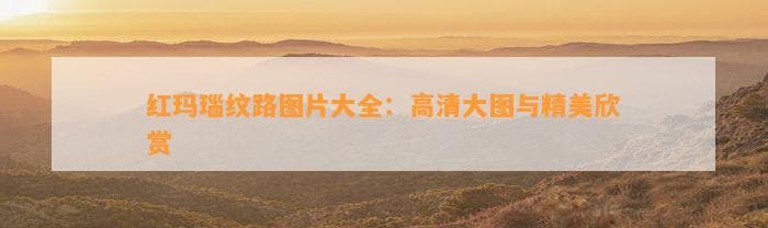 红玛瑙纹路图片大全：高清大图与精美欣赏