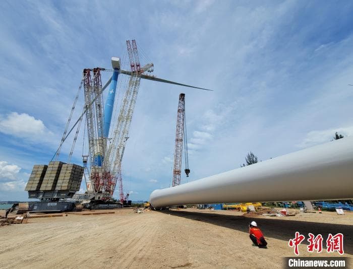 逐梦“清洁能源岛”：海南向世界展示中国绿色低碳发展