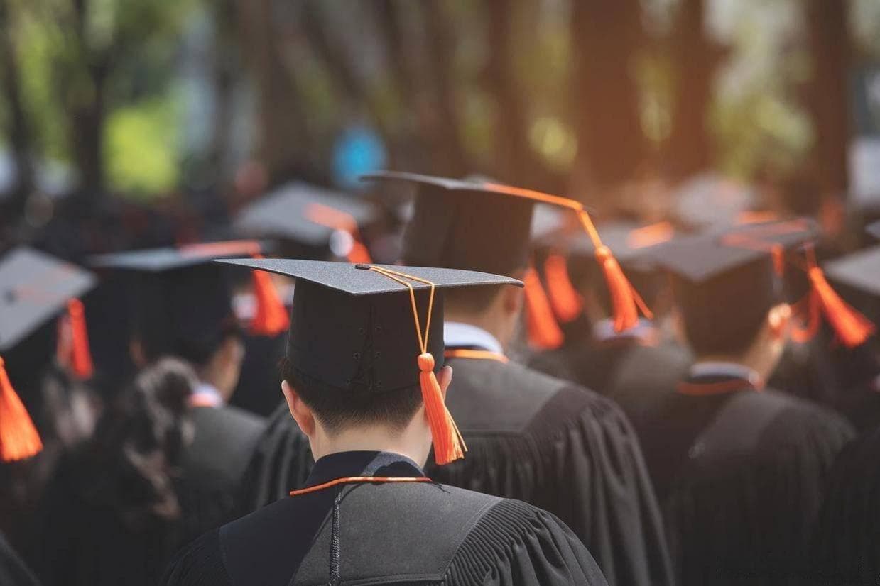 毕业季找工作——怎么查到自己学历的报告编号