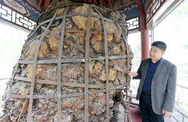1000多年前板桥镇 书写商贸重镇的繁华