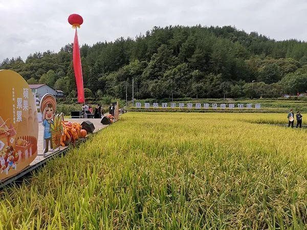 农业农村部推介：汉中4条秋季精品景点线路