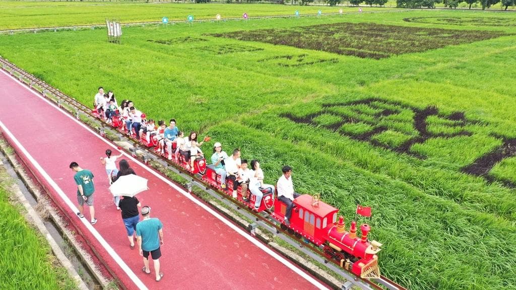 30亩“稻田画”！在横沥墨园村，体验惠州版“去有风的地方”