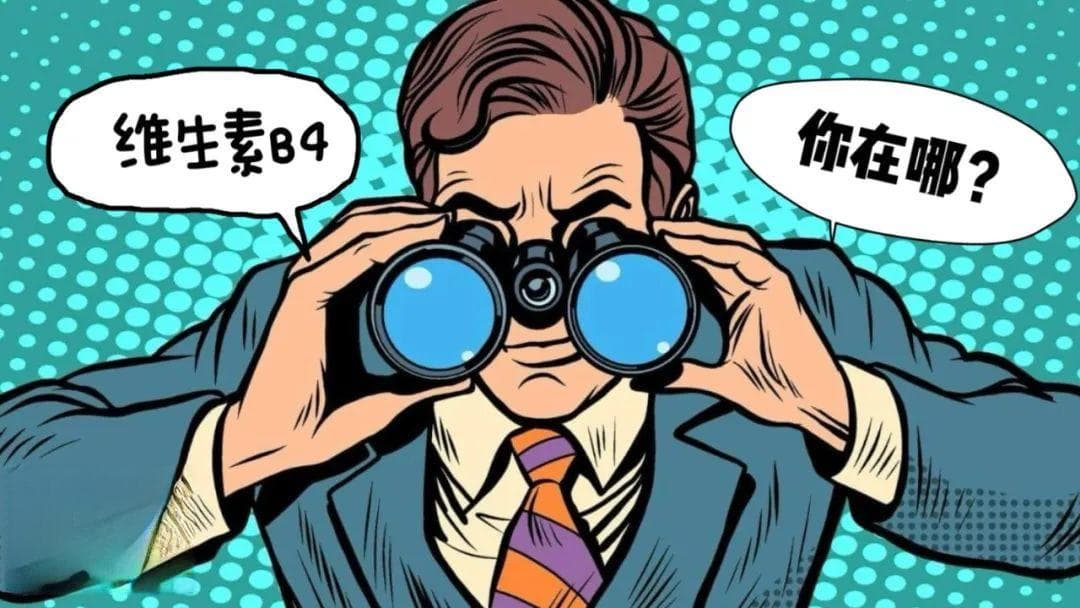 维生素命名之谜：为什么B族缺少B4、B8、B10、B11？为什么E后直接到K？