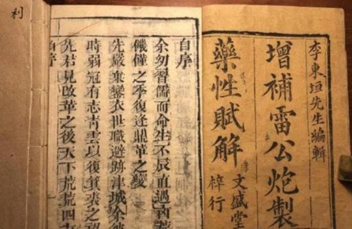 中医医药典籍之《脾胃论》