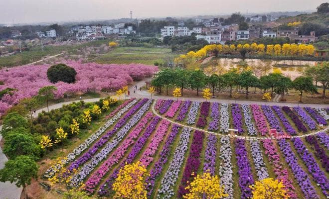 广州十大特色旅游乡村公布！龙年来“Country walk”