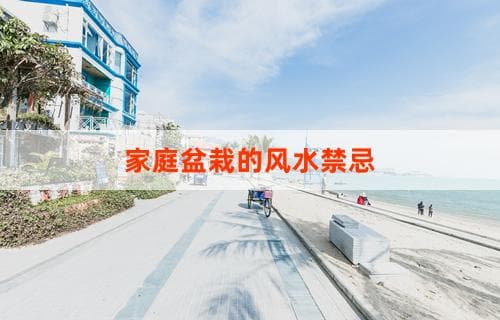 家庭盆栽的风水禁忌您知道吗？