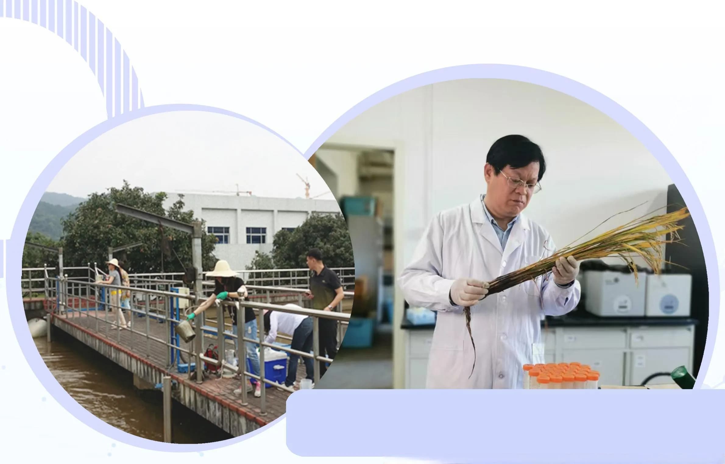 深瞳丨微生物耐药性：人类健康的重大威胁