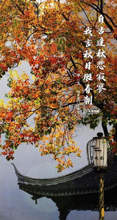 描写秋天的事物有哪些？秋天的景象：描绘金秋的万千景象！