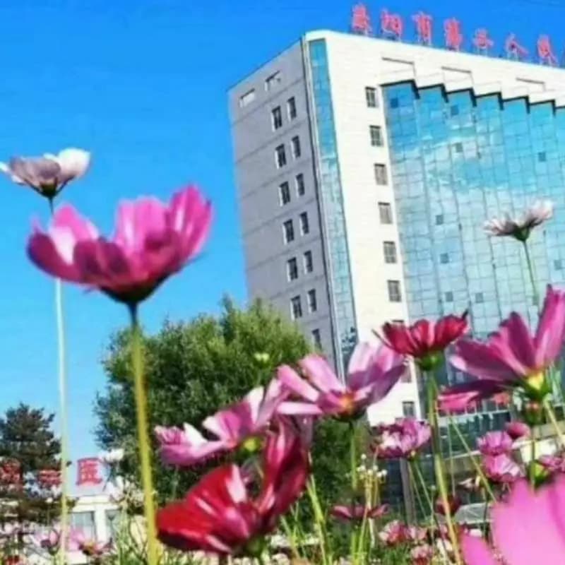 临床上常用三类治疗失眠的药物特点总结